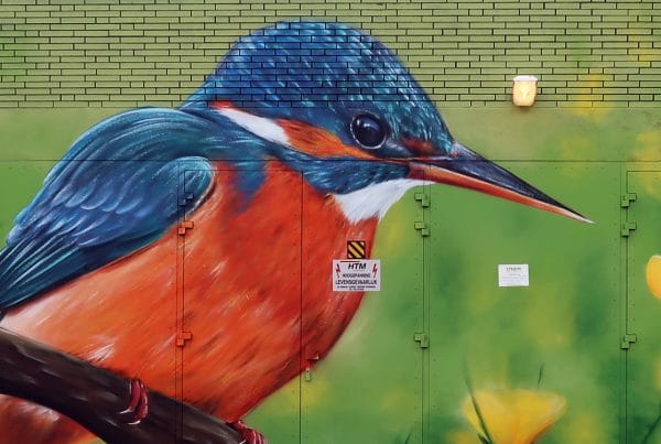 Citymarketing: street art op trafohuisjes