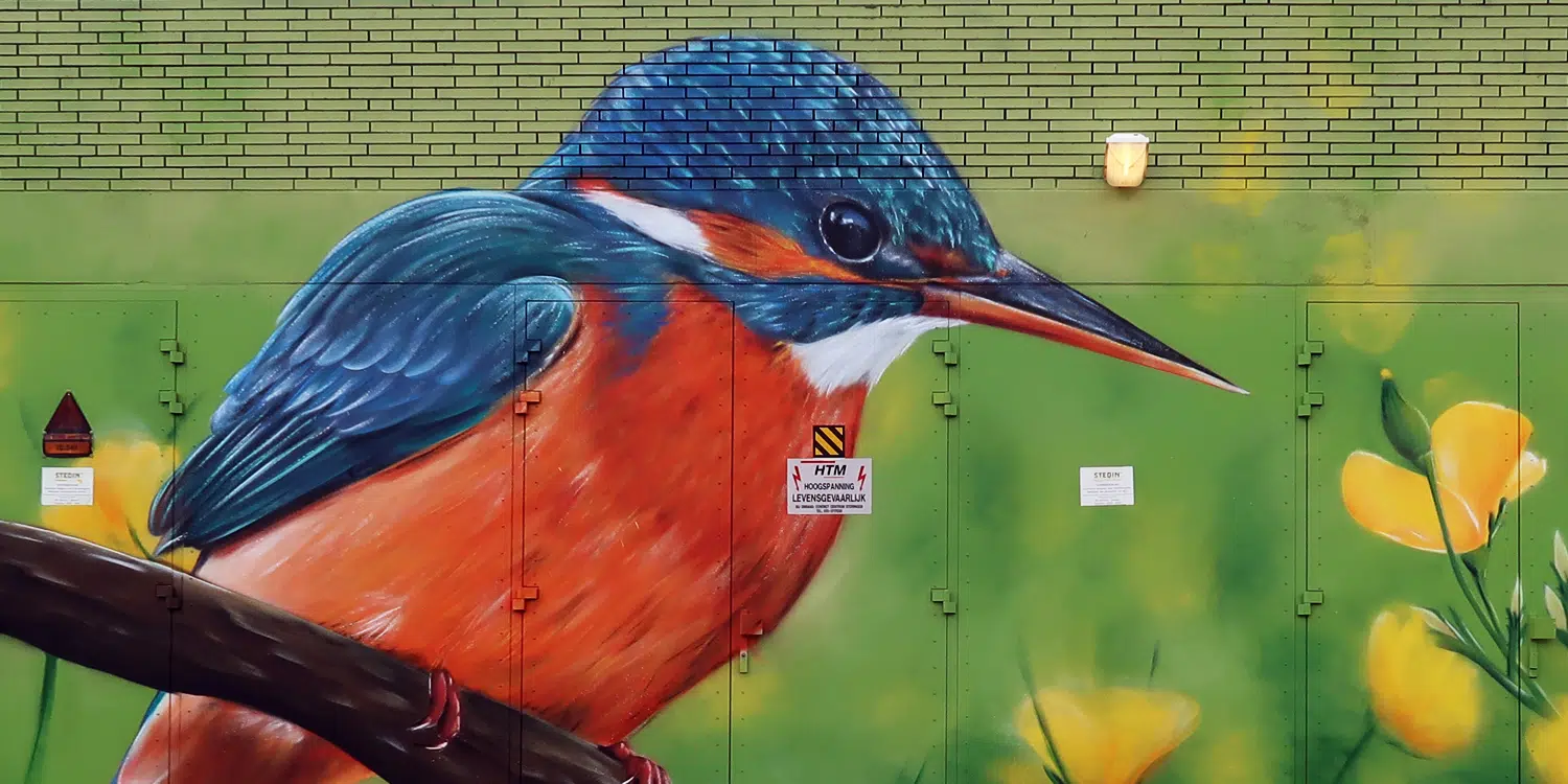 تسويق المدينة: فن الشارع على منازل المحولات