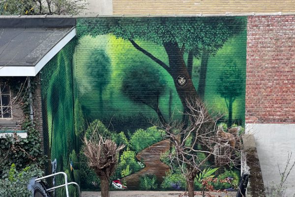 Painting garden wall in Antwerp