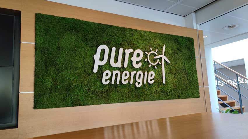 Moosplatte für Pure Energy in Enschede
