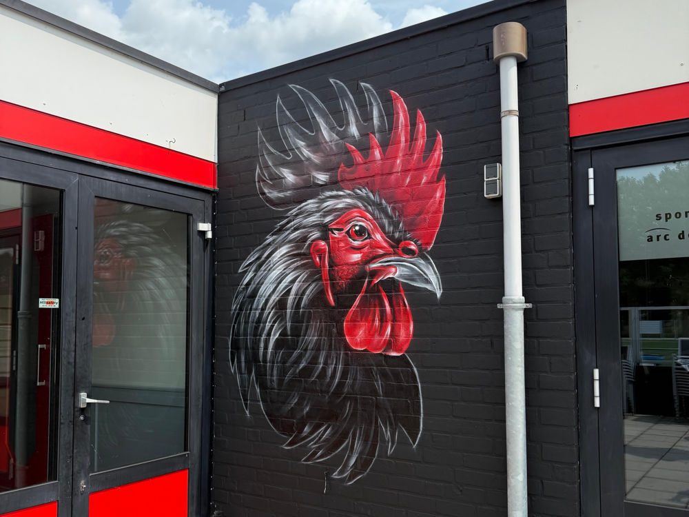 Mascotte muurschildering bij voetbalclub