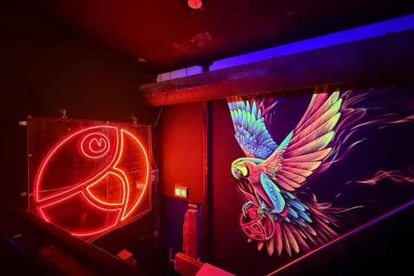 Fluor schildering DSS Phoenix in Delft