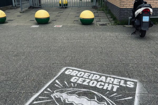 Foto 06-05-2025, 11 37 07