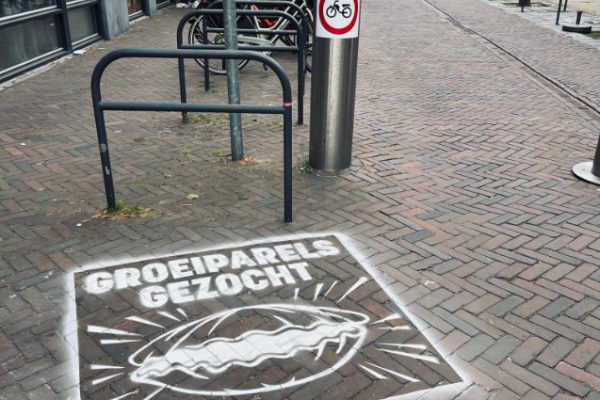 Foto 06-05-2025, 12 22 58