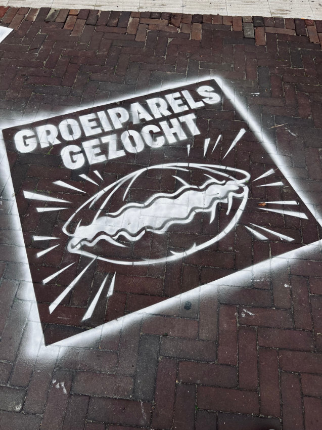 Groeiparels straatreclame in Voorschoten