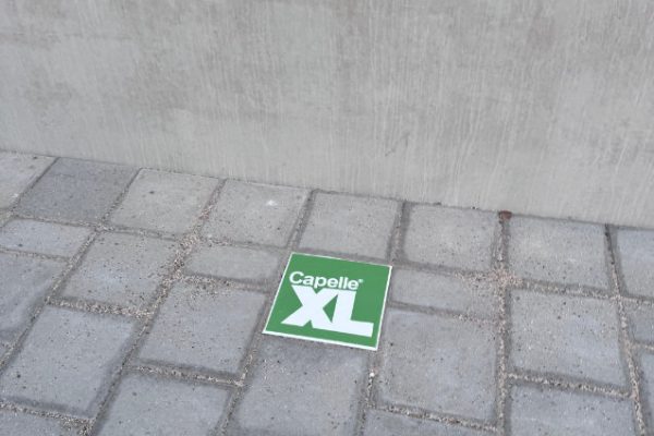 Foto 09-07-2025, 21 46 20