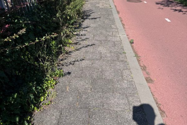 Foto 10-07-2025, 17 02 32