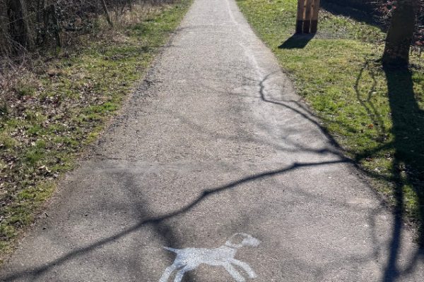 Foto 19-03-2025, 11 21 09