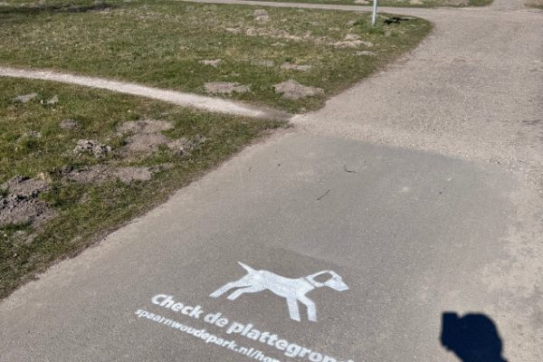 Foto 19-03-2025, 11 38 02 (1)