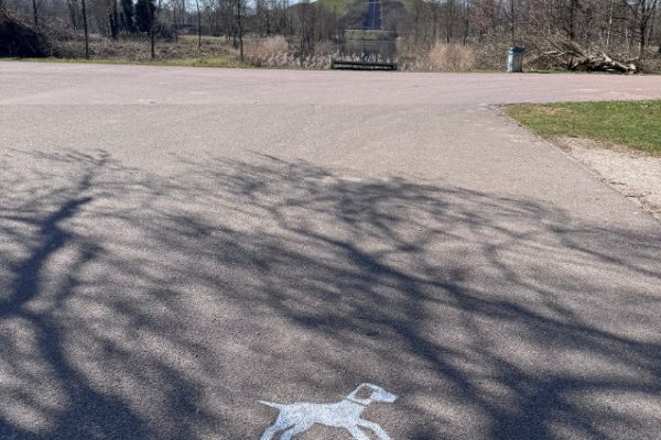 Foto 19-03-2025, 11 59 19