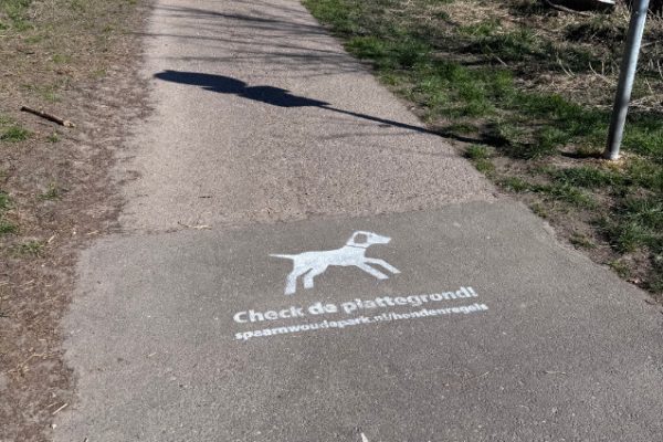 Foto 19-03-2025, 12 59 12