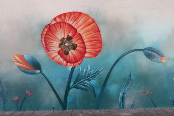 Mural Generaal Winkelmanstraat in Tilburg