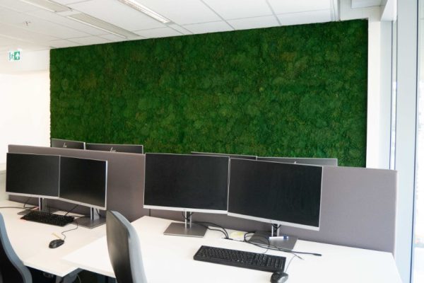 Moswand kantoor platmos 'Forest'-1