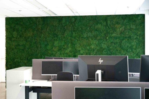 Moswand kantoor platmos 'Forest'-3
