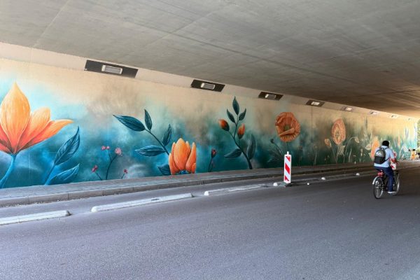 b8da0f3e-0d31-4864-a395-2cd8d48cdd3d