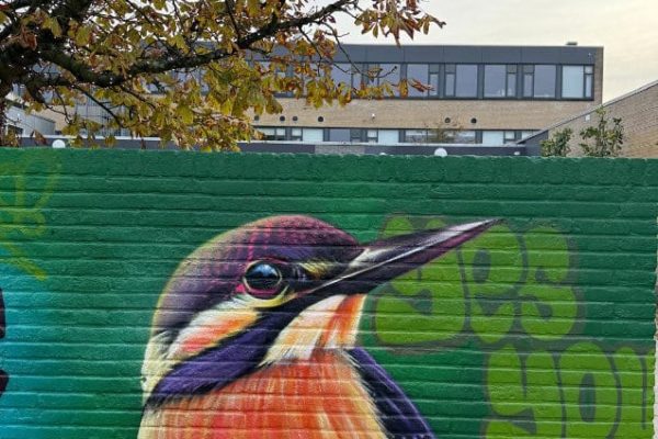 dd625f1e-2608-4ce0-8cc4-e63691c2995c